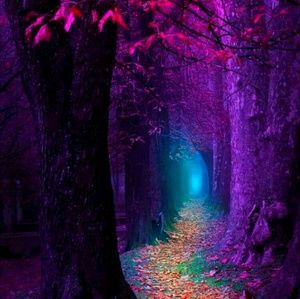 Meet your Posher, Kristin